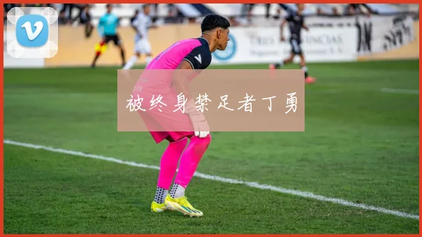 被终身禁足者丁勇